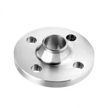 Welding Neck (type 11/B) face surélevée 300LBS SCH40S 316L