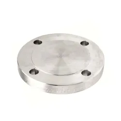 Blind face surélevée (type 05/B) PN50 300LBS 316L