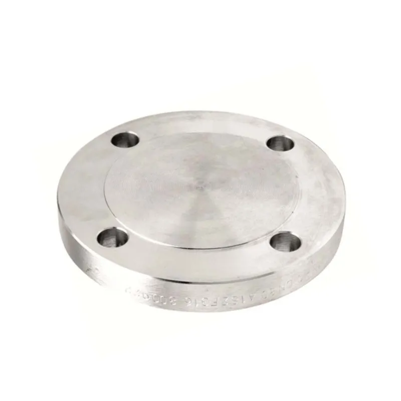 Blind face surélevée (type 05/B) PN50 300LBS 316L