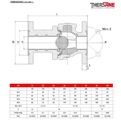 Dimensions Clapet à boule à brides  XOMOX corps fonte revêtu PFA