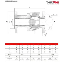 Dimensions Clapet à boule à brides  XOMOX corps fonte revêtu PFA antistatique