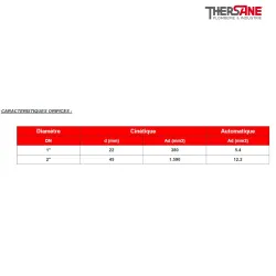 Caractéristiques orifices Ventouse triple fonction composite avec robinet d'arret et bride