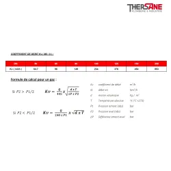 Coefficient de debit Filtre à tamis gaz acier en Y à brides PN 16