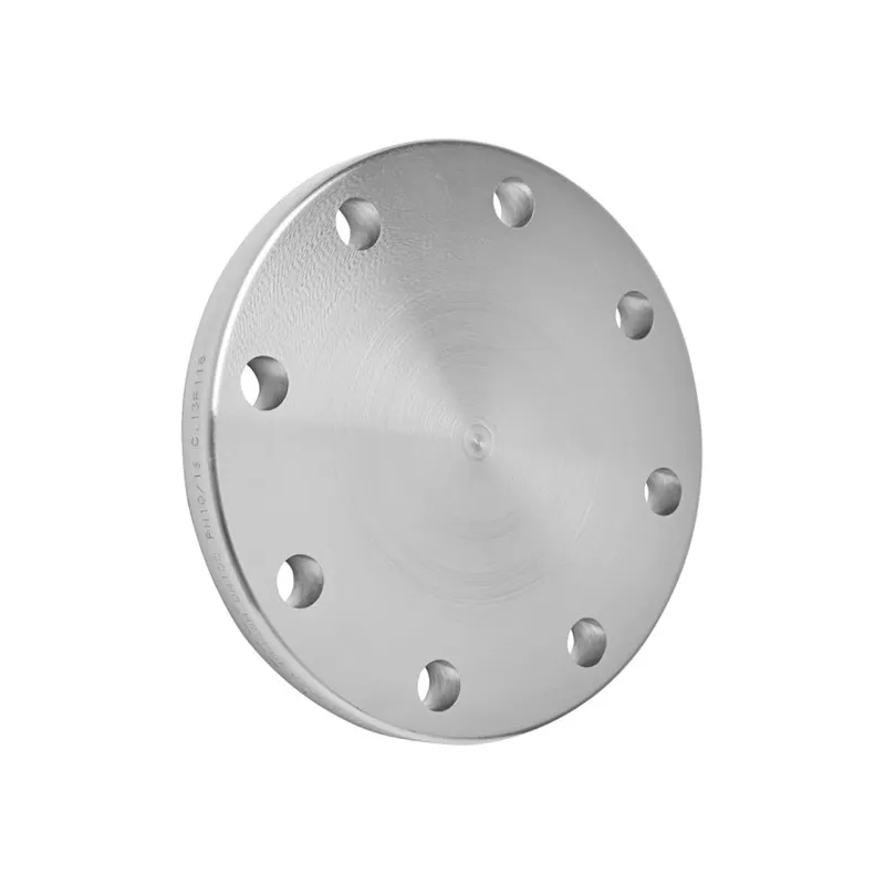 Brides pleine sans portée de joint type 05 A P245GH