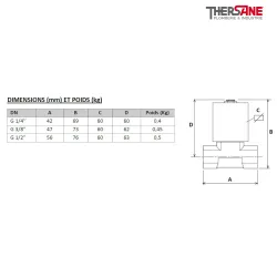 Dimensions et poids EST 93 - Électrovanne laiton FIOUL à commande directe NF
