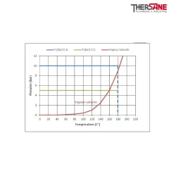 Pression temperature ESV 90 - Électrovanne vapeur à commande assistée NF