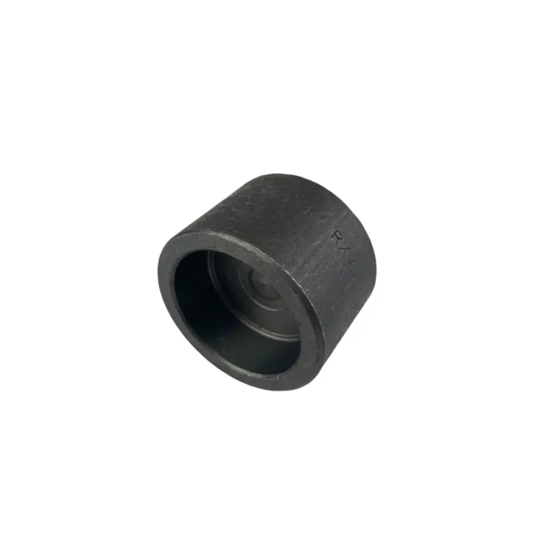 Bouchon Série 3000 A105N SW (socket welding)