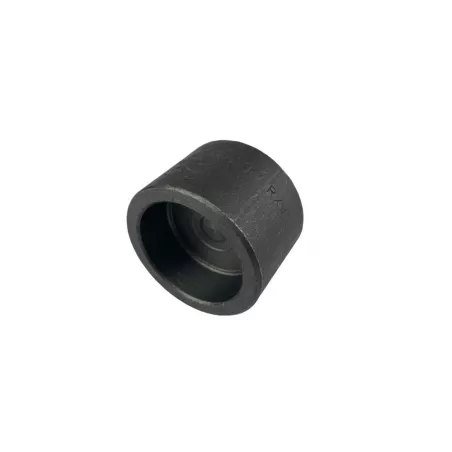 Bouchon Série 3000 A105N SW (socket welding)