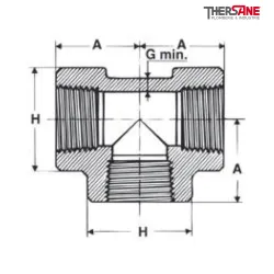 Plan Té Série 3000 A105N NPT Femelle